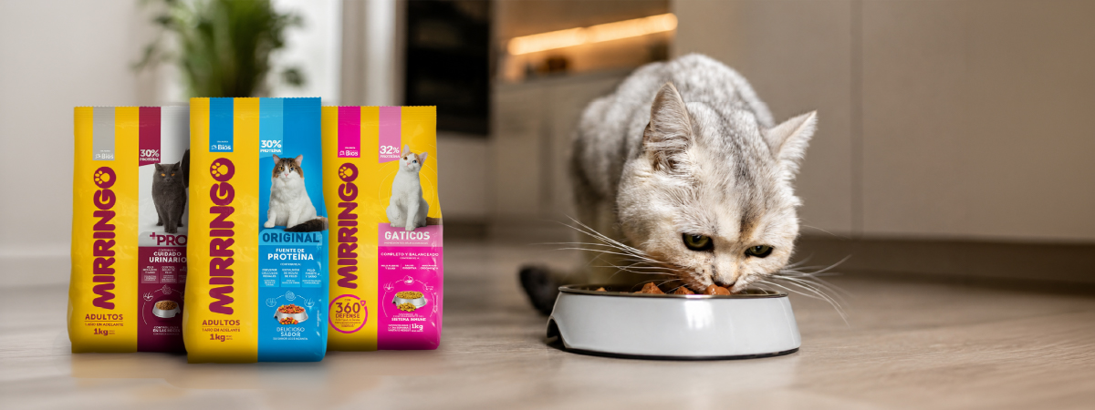 importancia de la proteína en gatos