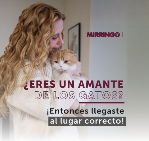 Banner Links Social
