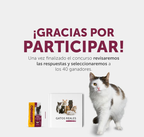 Concurso gracias  historias reales
