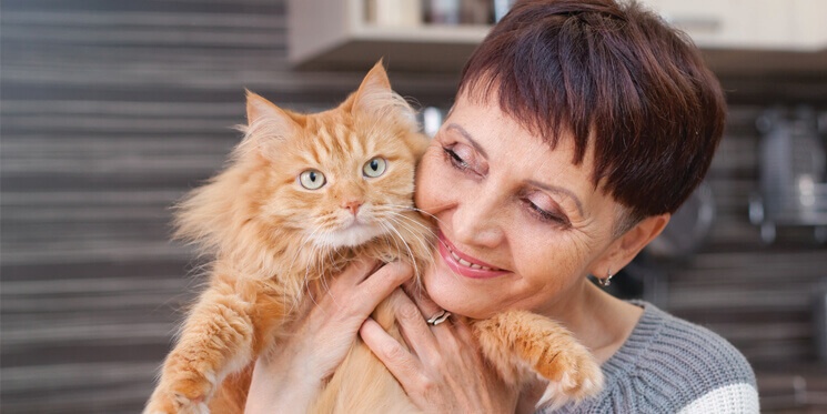 Beneficios de llevar el gato al trabajo