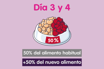 Cambio de alimento de gatos día 3 y 4