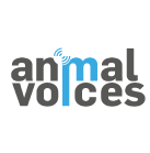 Fundación animal voices